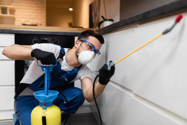 Best Local Pest Control Services  in Rson, CA