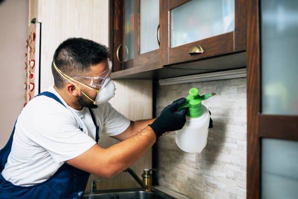 Best Wasp Removal Services  in Rson, CA