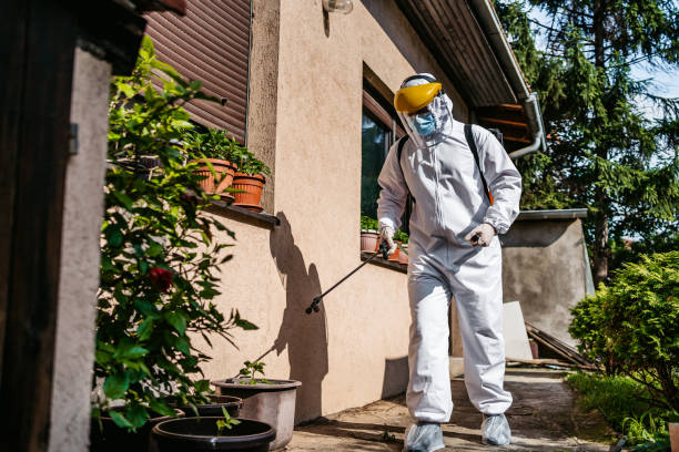 Best Residential Pest Control  in Rson, CA