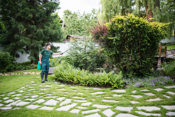 Reliable Carson, CA Pest Control Solutions