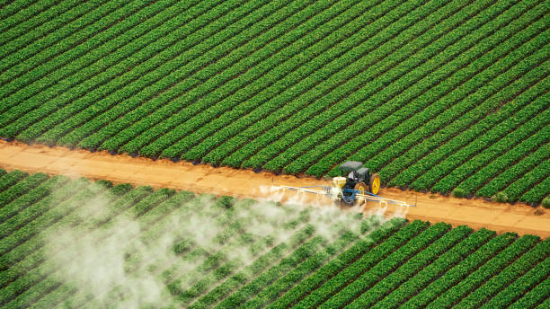 Best Pest Control Cost  in Rson, CA