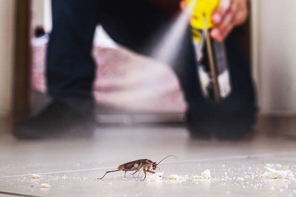 Best Pest Removal Services  in Rson, CA