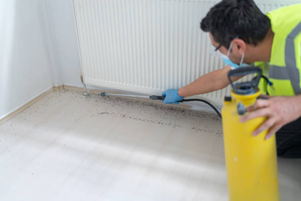Best Rat Extermination Near Me  in Rson, CA