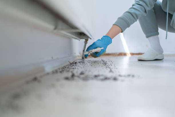 Best Mosquito Control Services  in Rson, CA