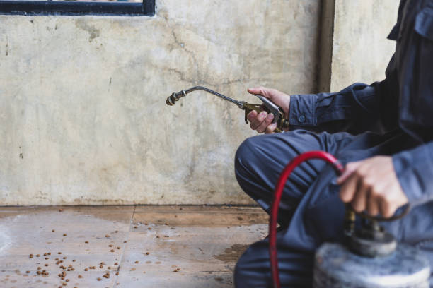 Best Exterminator Services  in Rson, CA